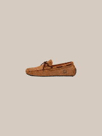 Thumbnail for 2 brown perfil - IA.jpg